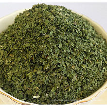 High quality dehydrated celery leaves 3*3mm